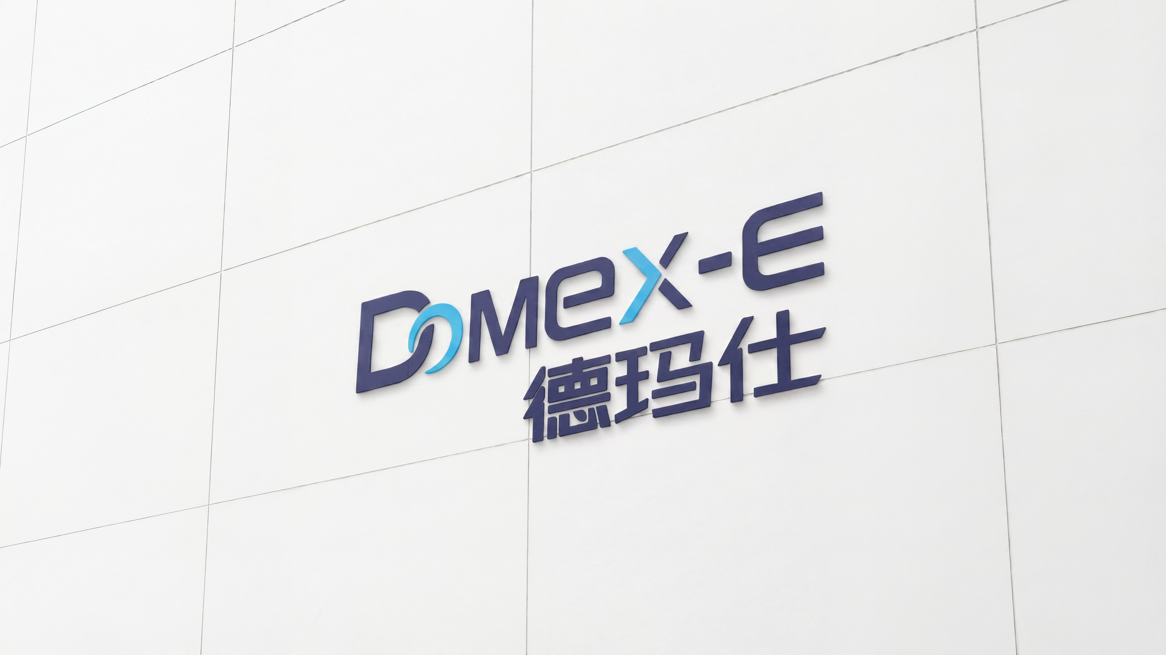 德玛仕 DOMEX-E 厂区 Logo 墙