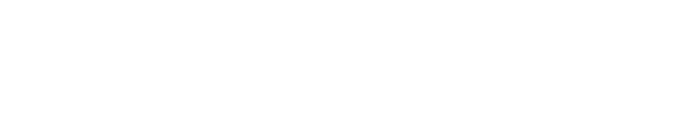 DOMEX-E