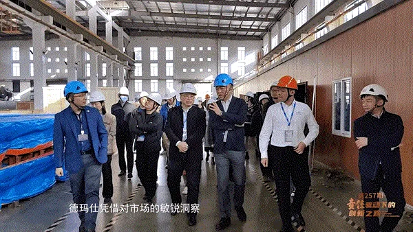 德玛仕纪录片《责任驱动下的创新之路》荣登央视！