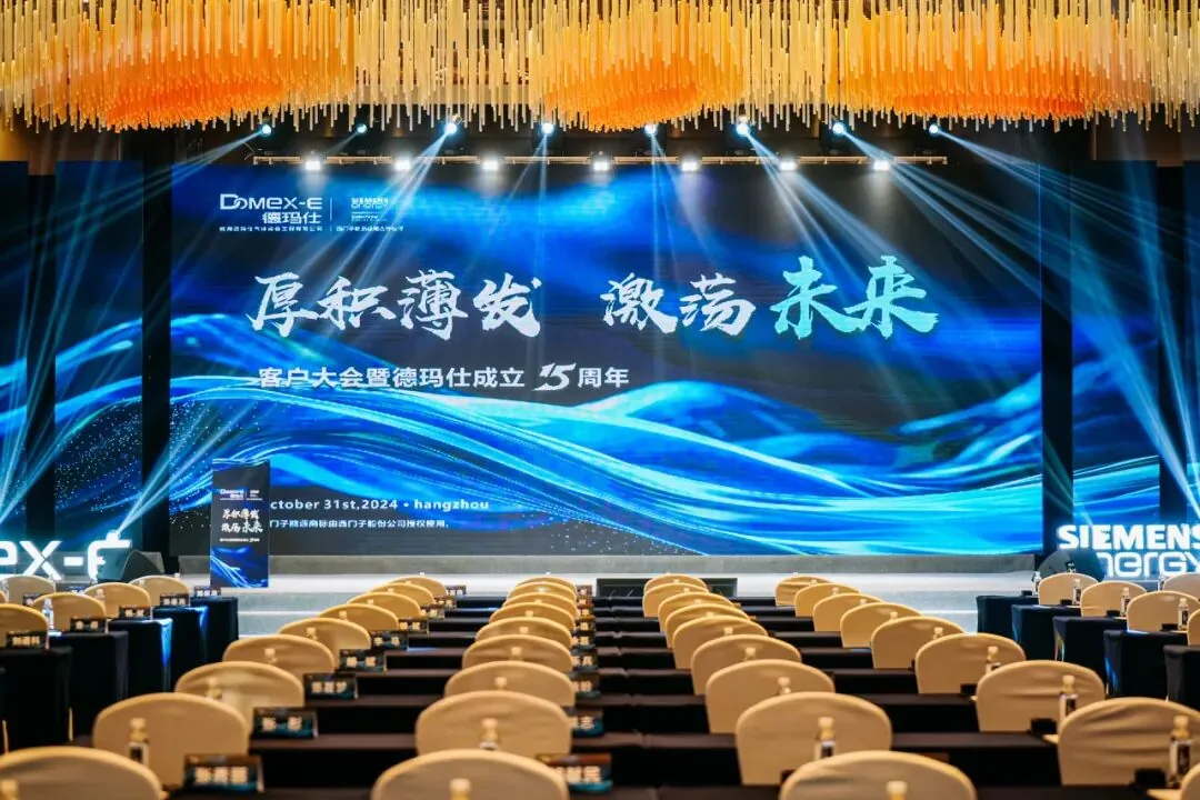 Domex-E and Siemens Energy Open a New Chapter: "Accumulate and Develop, Stir Up the Future" Customer Conference