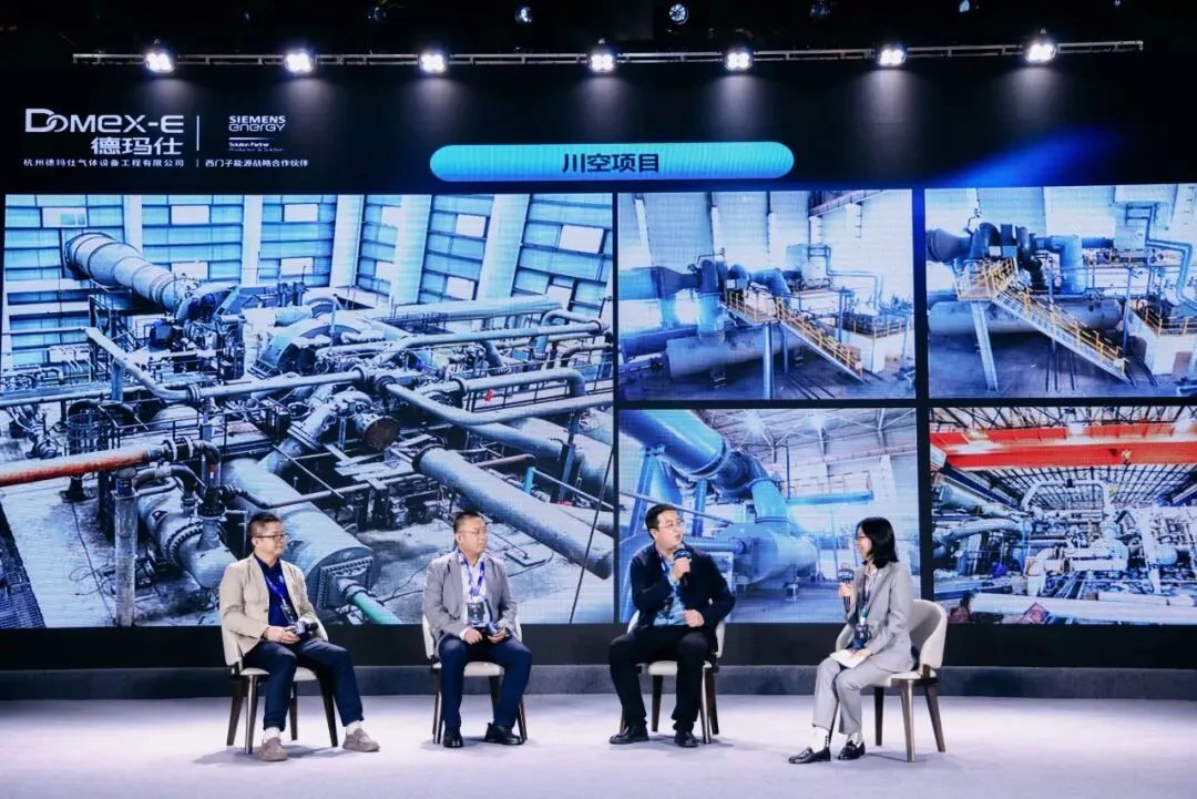 Domex-E and Siemens Energy Open a New Chapter: "Accumulate and Develop, Stir Up the Future" Customer Conference