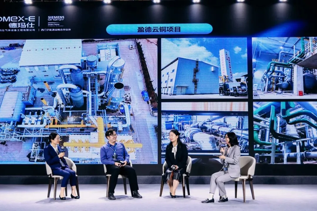 Domex-E and Siemens Energy Open a New Chapter: "Accumulate and Develop, Stir Up the Future" Customer Conference