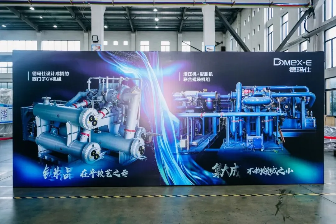 Domex-E and Siemens Energy Open a New Chapter: "Accumulate and Develop, Stir Up the Future" Customer Conference