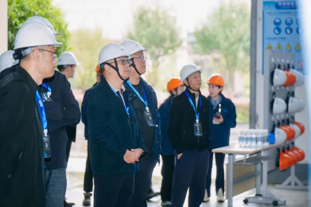 Domex-E and Siemens Energy Open a New Chapter: "Accumulate and Develop, Stir Up the Future" Customer Conference